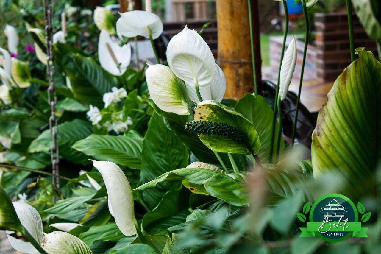 Finca Hotel Betel San Carlos ภายนอก รูปภาพ