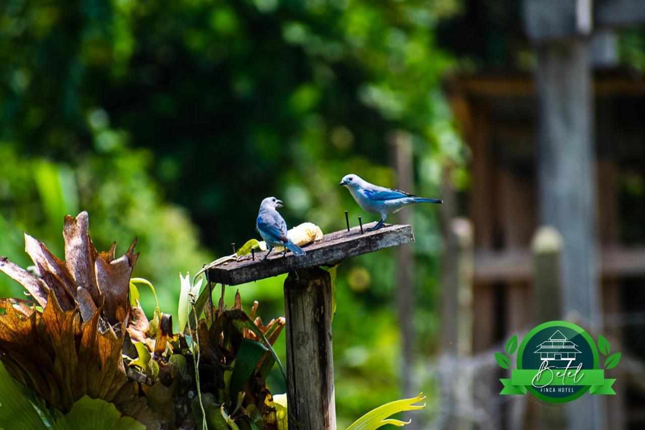 Finca Hotel Betel San Carlos ภายนอก รูปภาพ