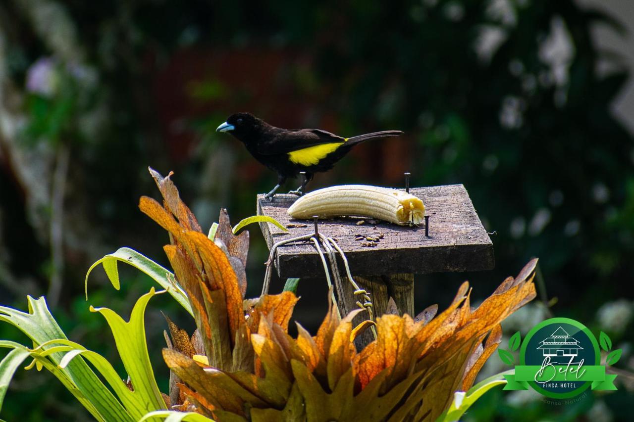 Finca Hotel Betel San Carlos ภายนอก รูปภาพ